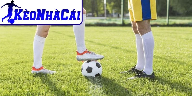 Quan sát tính chất trận đấu